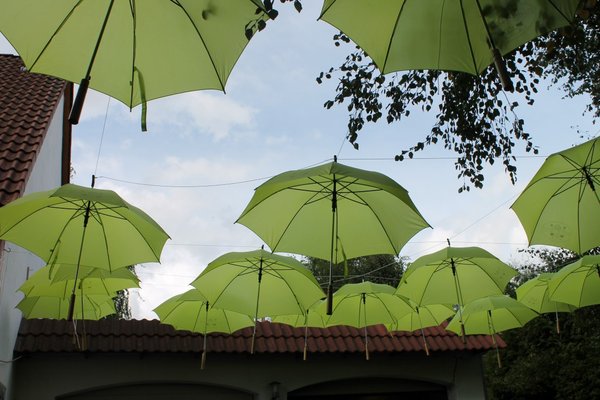 Die Sonne lachte und taucht den Hof in fröhliches Grün