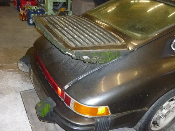 P1090539 (Small).JPG (100.52 KiB) 5103 mal betrachtet Auch der abgebrochene Bumper wächst langsam nach.