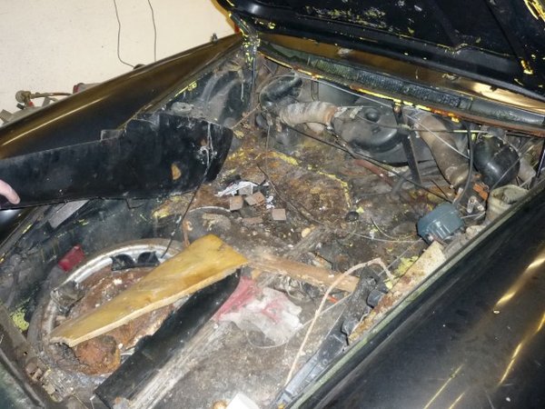 P1090533 (Small).JPG (121.52 KiB) 4938 mal betrachtet Eine ware Fundgrube ist der Kofferraum.<br />Hier gesellen sich Bremsbeläge zu Sonnenbrillen und alten Kontoauszügen