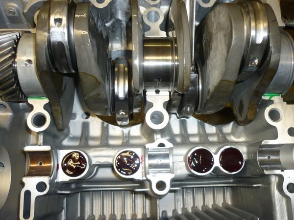 P1110497 (Small).JPG (110.63 KiB) 16572 mal betrachtet Probeliegen